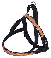 Nobby Norwegian harness flash mesh, orange, XL: L: 80-100 cm + 56, W: 38 mm, 1 piece