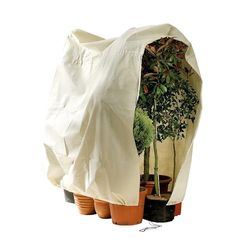 Bio Green winterbescherming potplantenzak, beige, super sterk, XXL 240 x 200 cm