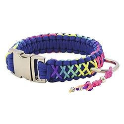 CROCI Collier Entrelacé Ficelle d'argent Arc-en-Ciel pour Chien 30 cm