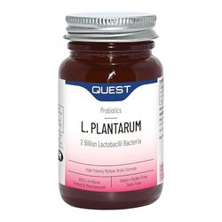 Quest L Plantarum Probiotic Capsules 2 Billion CFU for Immune & Digestive Support. Helps Restore Gut Friendly Bacteria & Regulate Immune Responses. Vegan & Gluten Free (90 Capsules)