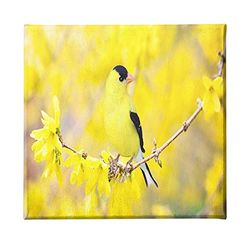 Homemania Wandfoto, motief: vogels, voor woonkamer, slaapkamer, meerkleurig, 60 x 3 x 60 cm, HM20KNV60 x 60 – 281, polyester, hout