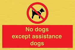 Panneau « No dogs except assistance dogs » - 300 x 200 mm - A4L