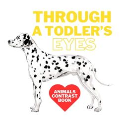 THROUGH A TODDLER'S EYES: Contrast Baby Book | 3 m + | 6 m + | 9 m +
