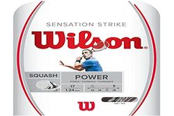 Wilson Sensation Strike 17, Badminton String Unisex-Adult, White/Grey, One Size