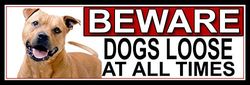 SHAWPRINT American Pit Bull BEWARE DOGS LOOSE AT ALL TIMES METAL GATE SIGN 266mm x 87mm. (360H2)