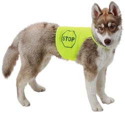 Kerbl Gilet di Sicurezza Posteriore, 35 cm/50-58 cm