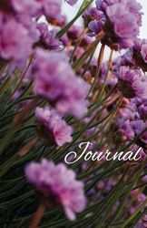 Journal