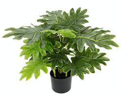 Pianta Artificiale di Philop in Vaso Real Touch, pianta Artificiale Decorativa per Interni, Fiori di Seta, Piante da Ufficio, pianta Artificiale Monstera, Fiori Artificiali