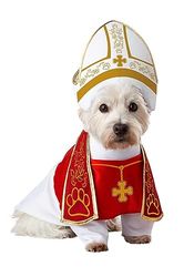 Pup-A-Razzi - Disfraz de Perro de Perro Sagrado (Talla XS)