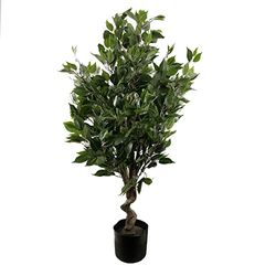 Leaf Kunstboom/Plant, Gemengde Materialen, Groene Ficus Twist, 110cm