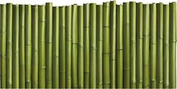 Plage Bambu Cabeceira de cama adesivo, tecido, verde, 160 x 3 x 60 cm