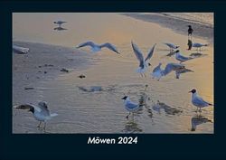 Möwen 2024 Fotokalender DIN A5: Monatskalender mit Bild-Motiven von Haustieren, Bauernhof, wilden Tieren und Raubtieren