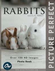 Rabbits: Perfect Picture Photo Book