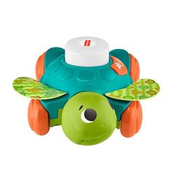 LK Sea Turtle-QE