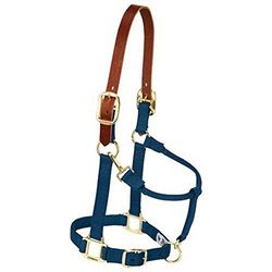 Weaver Leather Licol réglable en Nylon pour Cheval, Taille S, Bleu Marine