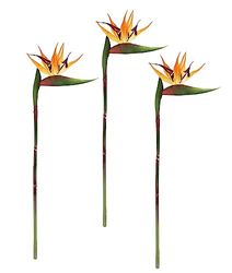 Flair Flower Fiore artificiale Strelitzie fiore di uccello del paradiso esotico ramoscello singolo fiore decorativo vaso tropicale composizione fiore decorazione hawaiana festa a tema decorazione