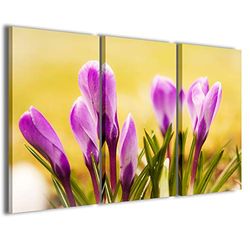 Kunstdruk op canvas, eerste bloem, moderne afbeeldingen van 3 panelen, klaar om op te hangen, 100 x 70 cm