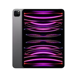 Apple 2022 11‑inch iPad Pro (Wi-Fi, 1 TB) - spacegrijs (4e generatie)