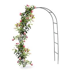 Relaxdays 10010020 - Arco de metal verde para jardim rosas