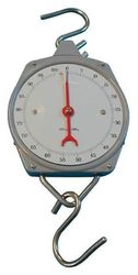 Berger + Schröter 50063 Peson 100 kg Gris