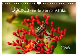 Uganda - im Herzen von Afrika (Wandkalender 2026 DIN A4 quer), CALVENDO Monatskalender: Reise durch ein wunderschönes zentrales afrikanisches Land.