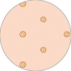 Bonateks, Runt digitalt tryckt musmatta, halkfri undersida, för kontor och hem, diameter: 22 cm