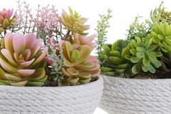 PLANTA PE EVA 17X17X14 2 SURT