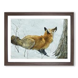 Robert Bateman Fox Classic Painting Framed Wall Art Print, Ready to Hang Picture for Living Room Bedroom Home Office Décor, Walnut A3 (46 x 34 cm)
