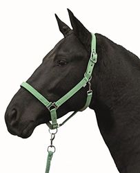 HKM 544130 Stars Licol Economy softice