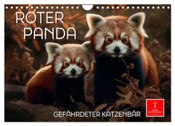 Roter Panda - gefährdeter Katzenbär (Wandkalender 2024 DIN A4 quer), CALVENDO Monatskalender: Eindrucksvolle Bilder eines wunderschönen Tieres.