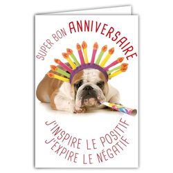 AFIE Humorous Happy Birthday Card with Illustrated Envelope, 17.5 x 12 cm, Funny Funny Dog in Costume with Accessories for Party – Creation Made in France 69-6202