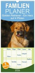 Familienplaner 2026 - Golden Retriever - Ein Herz auf 4 Pfoten mit 5 Spalten (Wandkalender, 21 x 45 cm) CALVENDO: Golden Retriever auf 13 wunderschönen Fotos durch alle Jahreszeiten