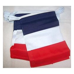 GHIRLANDA 4 metri 20 BANDIERE FRANCIA 15x10cm - BANDIERA FRANCESE 10 x 15 cm - FESTONE BANDIERINE - AZ FLAG