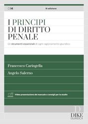 I principi del diritto penale. Gli strumenti essenziali di ogni ragionamento giuridico. Con aggiornamento online
