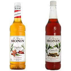 MONIN Premium Gingerbread Syrup 1 L & Premium Cinnamon Syrup 1 L