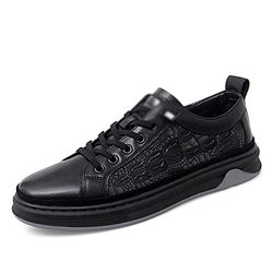 SADFSFD GLORA369 Base/PLACA unisex-vuxen, flerfärgad, standard