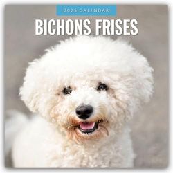 Bichons Frises 2025 Square Wall Calendar