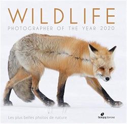 Wildlife photographer of the year 2020: Les plus belles photos de nature