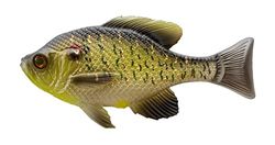 13 FISHING The Gill Cola de cuña de plástico Suave Pulgadas-1.1 onzas-Redear Sunfish-1 Cebo por Paquete-CB-gillw5.25-12 Swimbait, Unisex, 5.25"-1 Bait per Pack