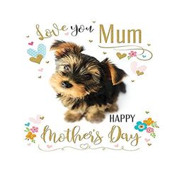 Piccadilly Greetings Mother's Day Card Love You Mum - 8 x 6 inches