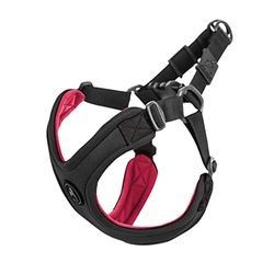 Gooby Pettorina sportiva senza fuga – nera, piccola – senza tirare, in neoprene brevettato, con regolazione a quattro punti, perfetta per cani di taglia media, senza tirare e cani di piccola taglia