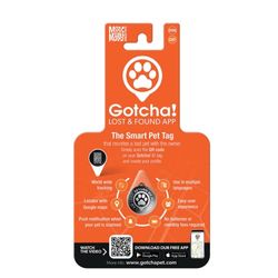 Gotcha Smart Pet ID Tag for Pets, Easily Attaches to Dog & Cat Collars and Harnesses, Contains Personalized Pet Contact Information for Quick Identification by Max & Molly