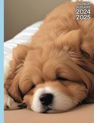 Agenda Scolaire 2024 2025 couleur avec jeux éducatifs: CP, CE1, CE2, CM1, CM2 | Pour fille et garçon | Lignage Seyès | Format cahier 17x22 cm | Thème Animaux Mignons