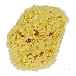 Dr Hauschk (DRHF0), Natural Marine Sponge S/M 8-10 cm