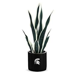 FOREVER LEAF MSU, pianta di serpente MSU, pianta di serpente finto, regali per uomini, regali MSU per donne, regali MSU, decorazioni spartane, decorazione per grotta dell'uomo, accessori da ufficio