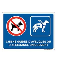 AUA SIGNALETIQUE - Waarschuwingsbord met afgeronde hoeken – honden met blinde geleiding of assistent – 420 x 300 mm, aluminium Dibond 3 mm