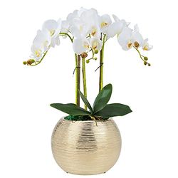 Decor Trends Pot de Fleurs Rond métallique doré de 17,8 cm - Pot de Fleurs décoratif doré en Forme de Bol (doré)
