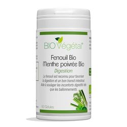 Phyto Sud Complexe Fenouil Bio 600 mg et Menthe Poivrée Bio 200 mg - Fenouil Gelules avec Menthe Poivrée pour Aider à la Digestion Difficile - 60 Gélules - Cure de 1 Mois - Fabriqué en France