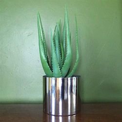 Blad 55 cm konstgjord realistisk aloe vera suckulent växt med silverdesigner planter