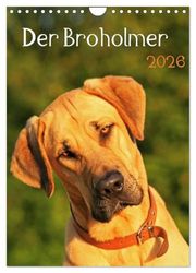 Der Broholmer (Wandkalender 2026 DIN A4 hoch), CALVENDO Monatskalender: Kalender für Fans dieser beeindruckenden Hunderasse